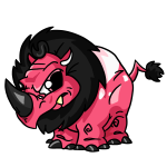 Pink Tonu