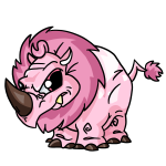 Pink Tonu