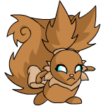 Brown Usul