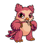 Pink Vandagyre
