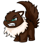 Brown Wocky