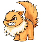 Orange Wocky