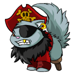 Pirate Wocky