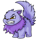 Purple Wocky