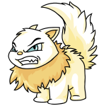 White Wocky