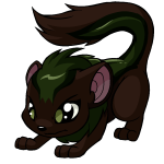 Brown Xweetok