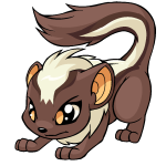 Brown Xweetok