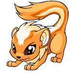 Orange Xweetok