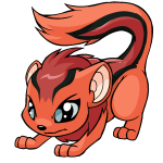Orange Xweetok