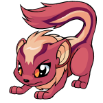 Pink Xweetok