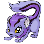 Purple Xweetok