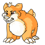 Orange Yumack