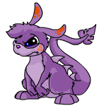 Purple Zafara