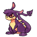 Purple Zafara