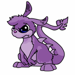 Purple Zafara