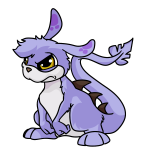 Purple Zafara