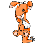 Orange Blumaroo
