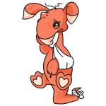 Orange Blumaroo