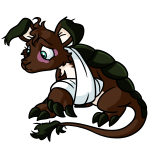 Brown Bori