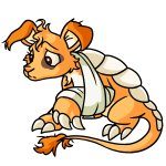 Orange Bori