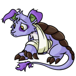Purple Bori