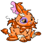 Orange Cybunny