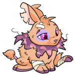 Orange Cybunny