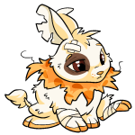 Orange Cybunny