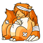 Orange Dirego