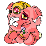 Pink Elephante
