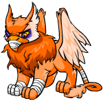 Orange Eyrie