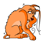 Orange Gelert