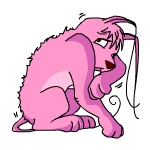 Pink Gelert