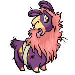 Purple Gnorbu