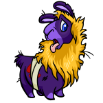 Purple Gnorbu