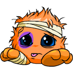 Orange Jubjub