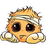Orange Jubjub