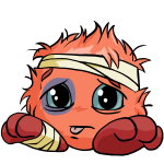 Orange Jubjub