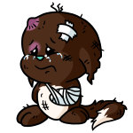 Brown Kacheek