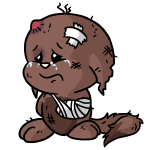 Brown Kacheek