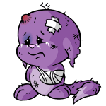 Purple Kacheek