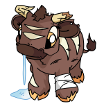 Brown Kau