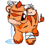 Orange Kau