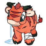 Orange Kau