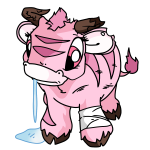 Pink Kau