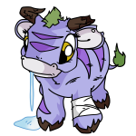 Purple Kau