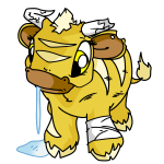 Yellow Kau