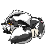 Skunk Kitzen