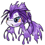 Purple Koi