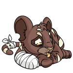 Brown Kougra